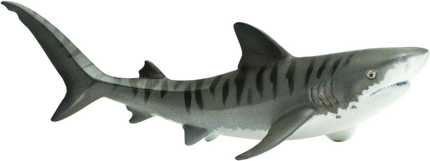 Safari Tiger Shark