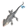 Mamejo Nature 12" Grey Spiny Lizard Toy Figure
