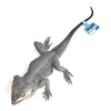 Mamejo Nature 12" Grey Spiny Lizard Toy Figure