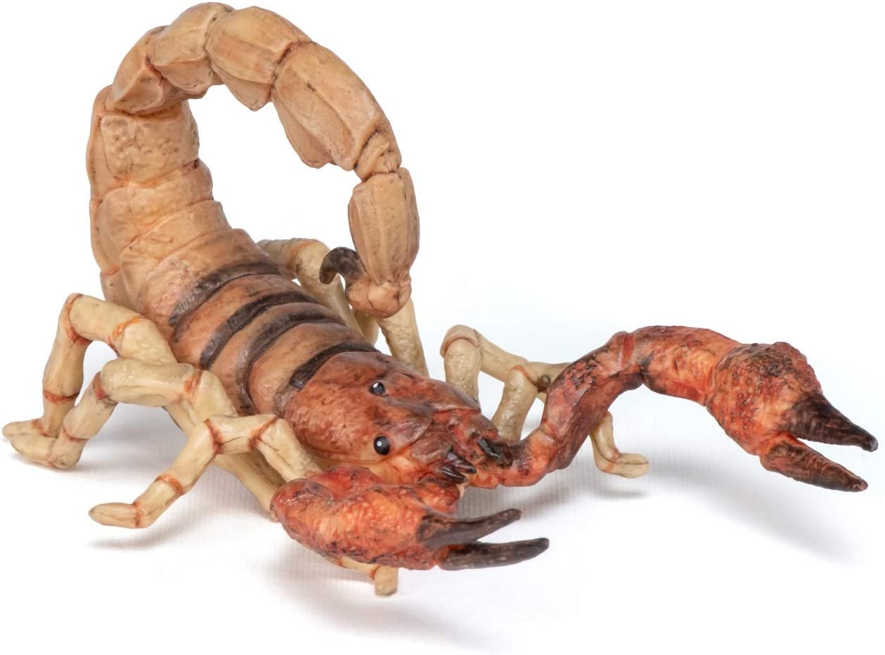 Papo Scorpion