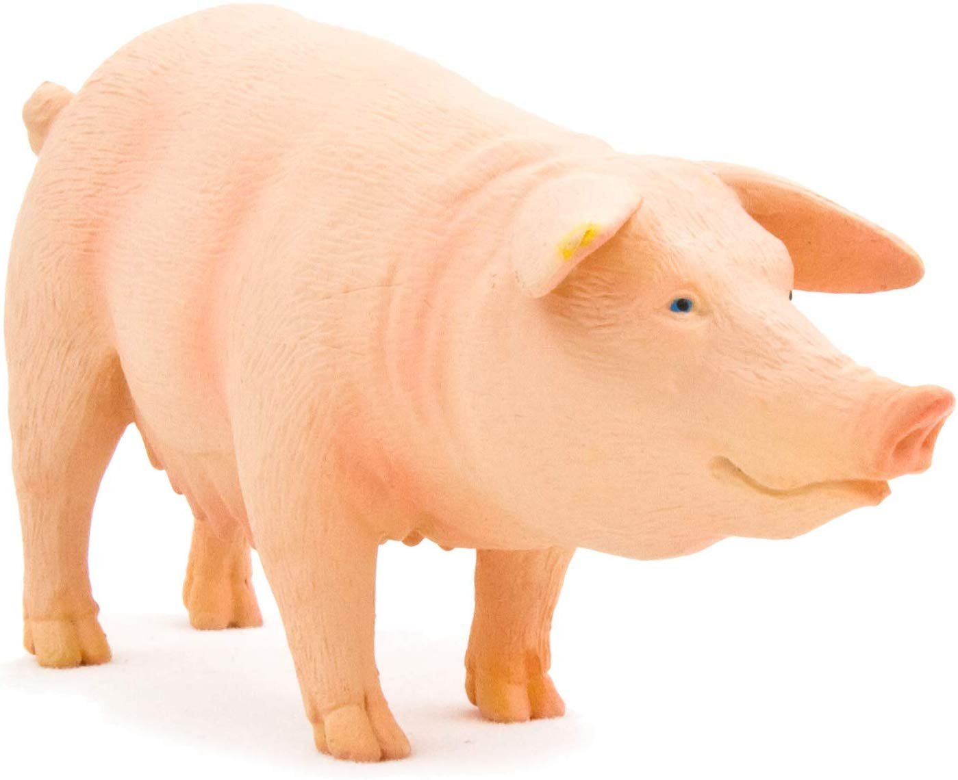 Mojo Pig (Sow)