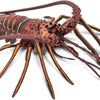 Safari Ltd. Spiny Lobster