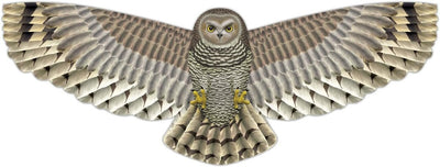 Xkites 48" Birds of Prey Owl Nylon Kite
