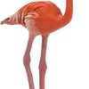 Safari Ltd. Flamingo