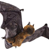 Folkmanis Fruit Bat Puppet