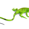 Safari Ltd. Iguana Baby