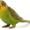Mojo Green Budgerigar