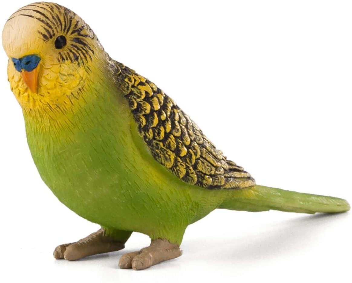 Mojo Green Budgerigar