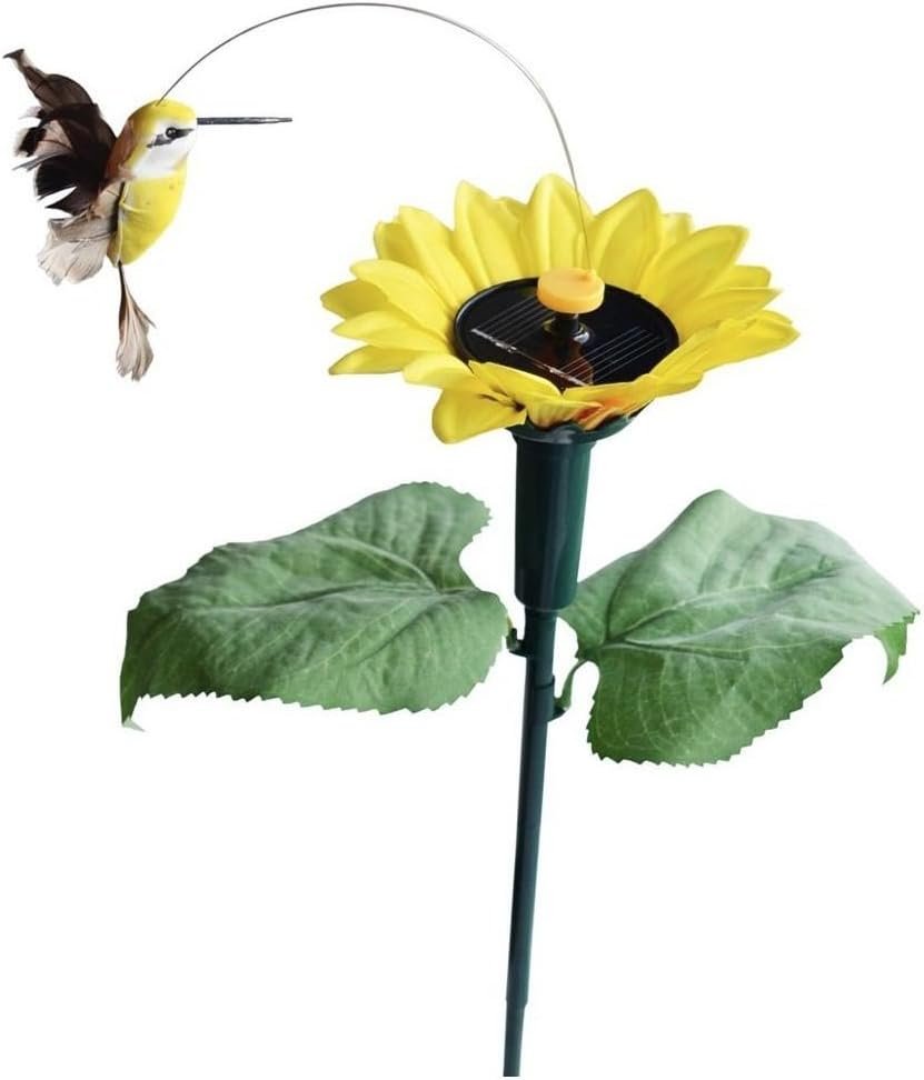 Solar Hummingbird Sunflower