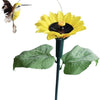 Solar Hummingbird Sunflower