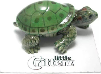 Little Critterz  "Ras" Green Garden Turtle