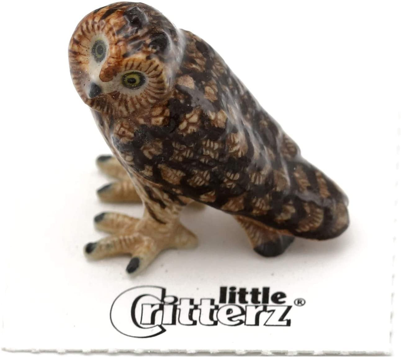 Little Critterz  Evening Short Eared Owl