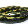 Mamejo Young Python Rubber Snake 52"