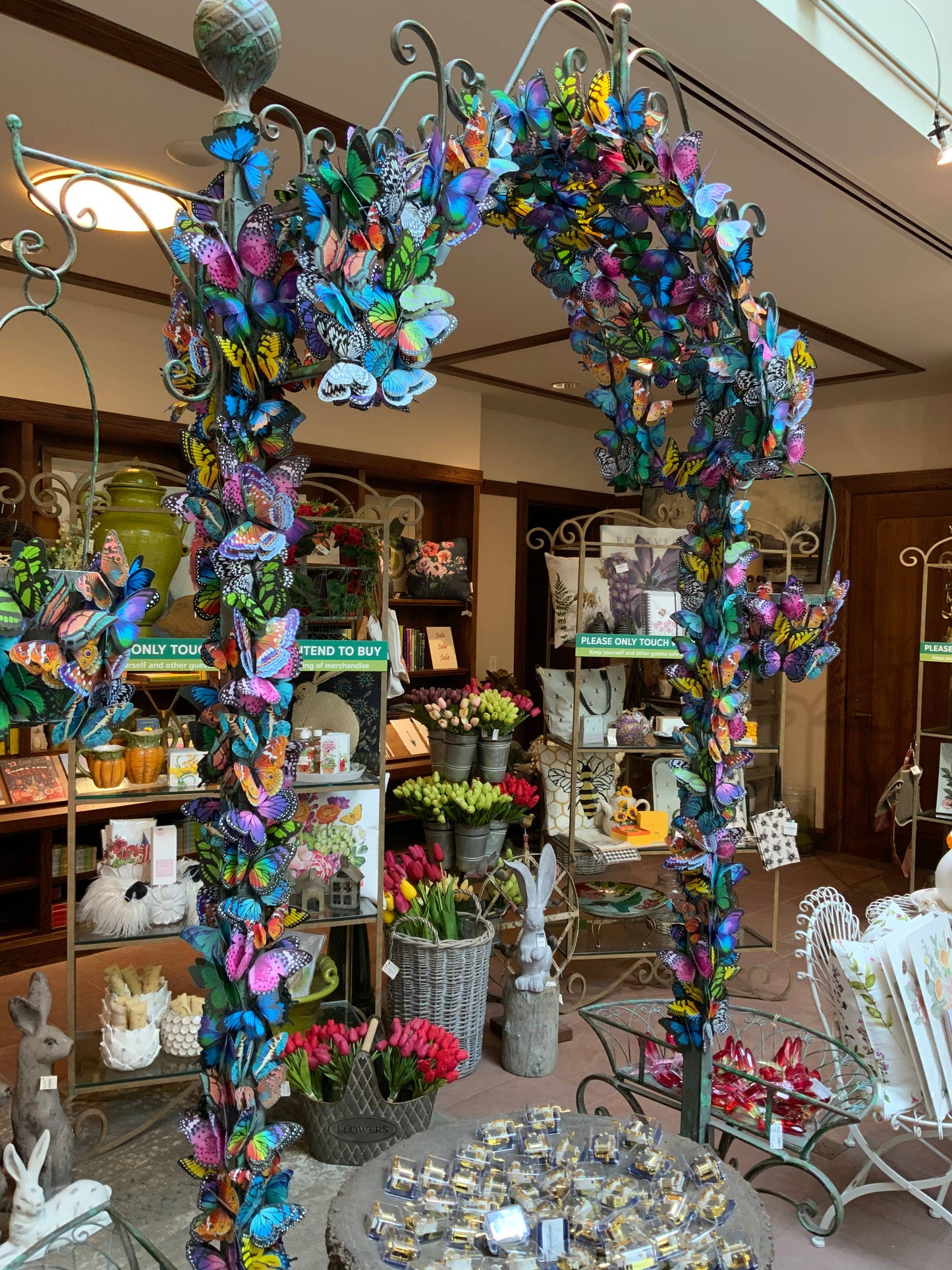 Flutter Gallery - Butterfly Magnet