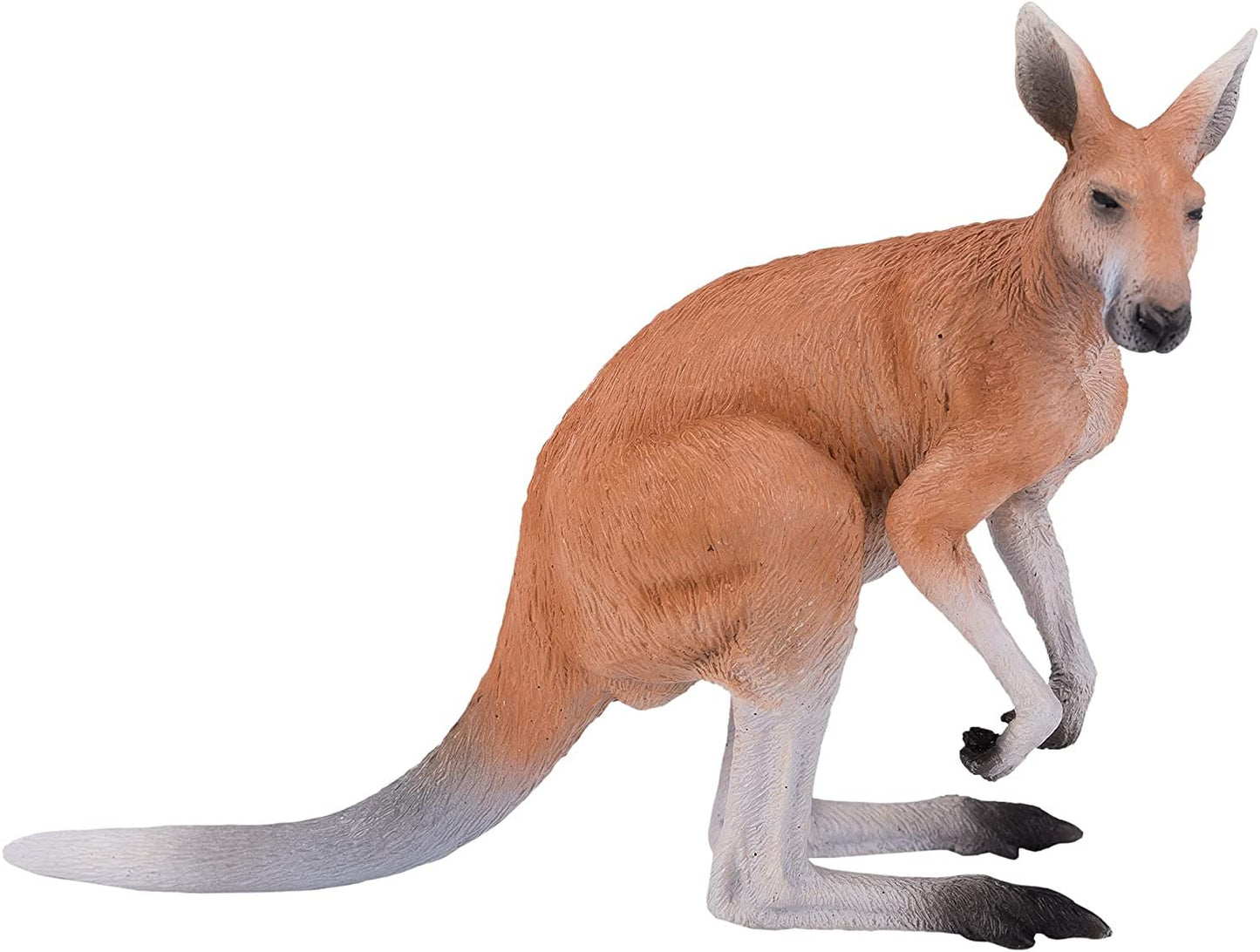 Mojo Kangaroo