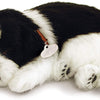 Perfect Petzzz Huggable Border Collie