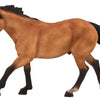 MOJO Buckskin Quarter Horse