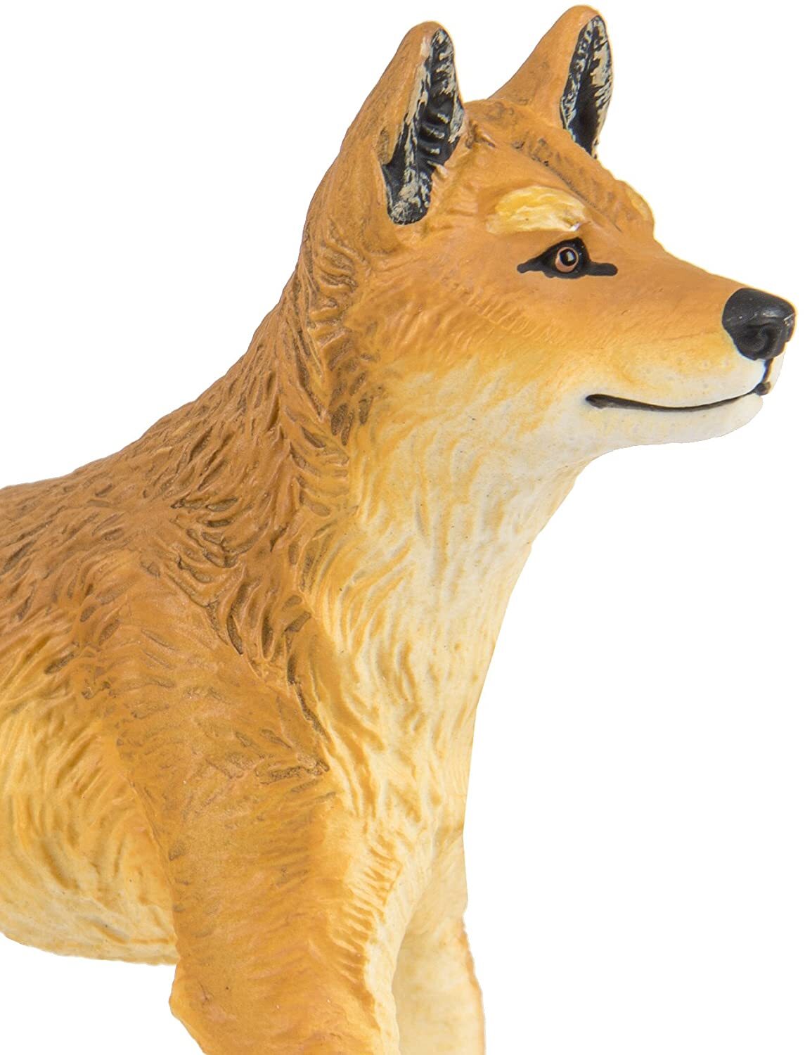 Safari Ltd. Dingo