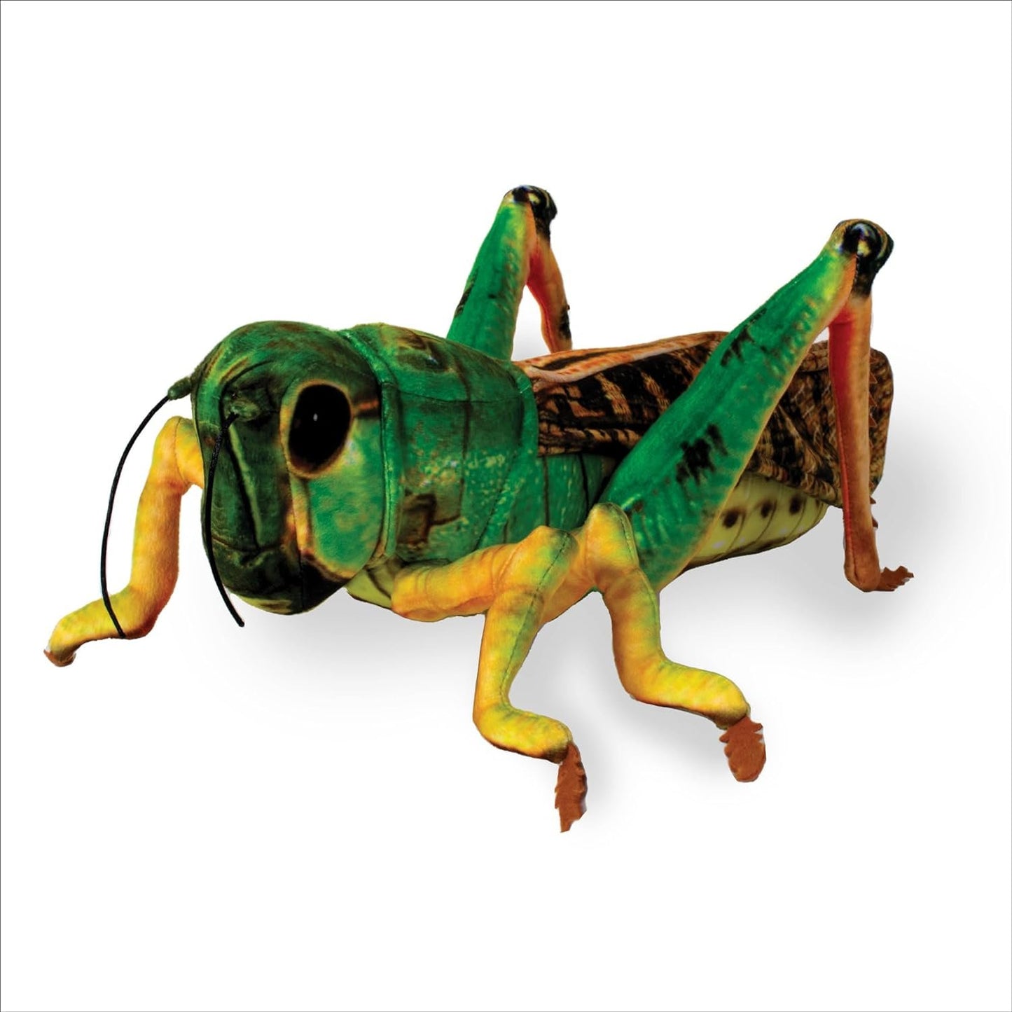 Real Planet Grasshopper Pllush Toy 15"