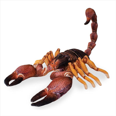 Real Planet Scorpion 24"