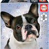 Educa French Bulldog 100 piece Puzzle