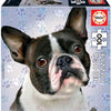 Educa French Bulldog 100 piece Puzzle
