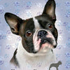 Educa French Bulldog 100 piece Puzzle