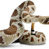 Safari Western Diamondback Rattlesnake