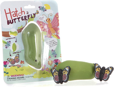 Hatch a Butterfly