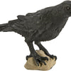 Safari Ltd. Raven