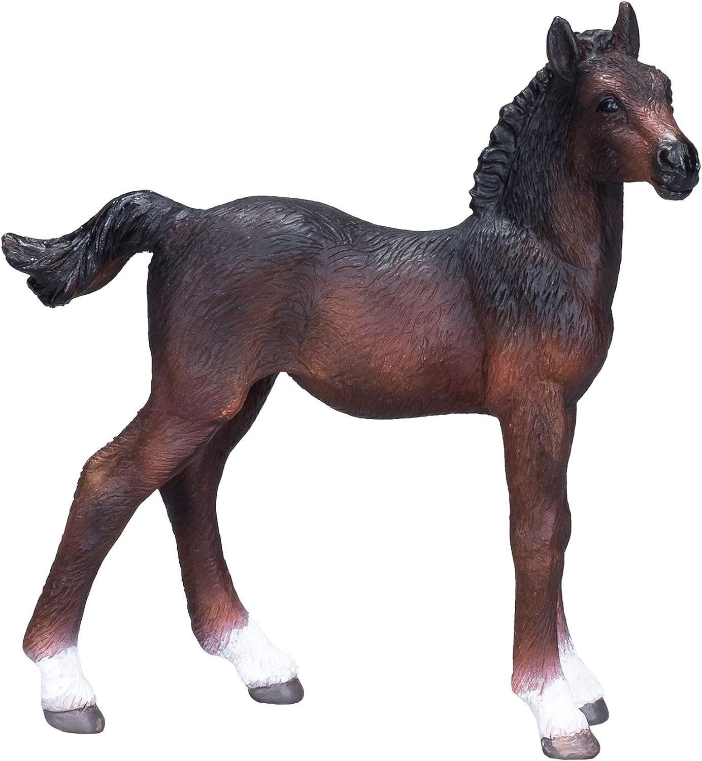 Mojo Hanoverian Foal