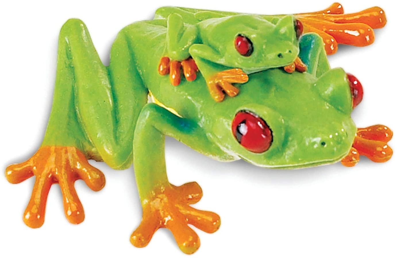 Safari Ltd. Red Eyed Tree Frog