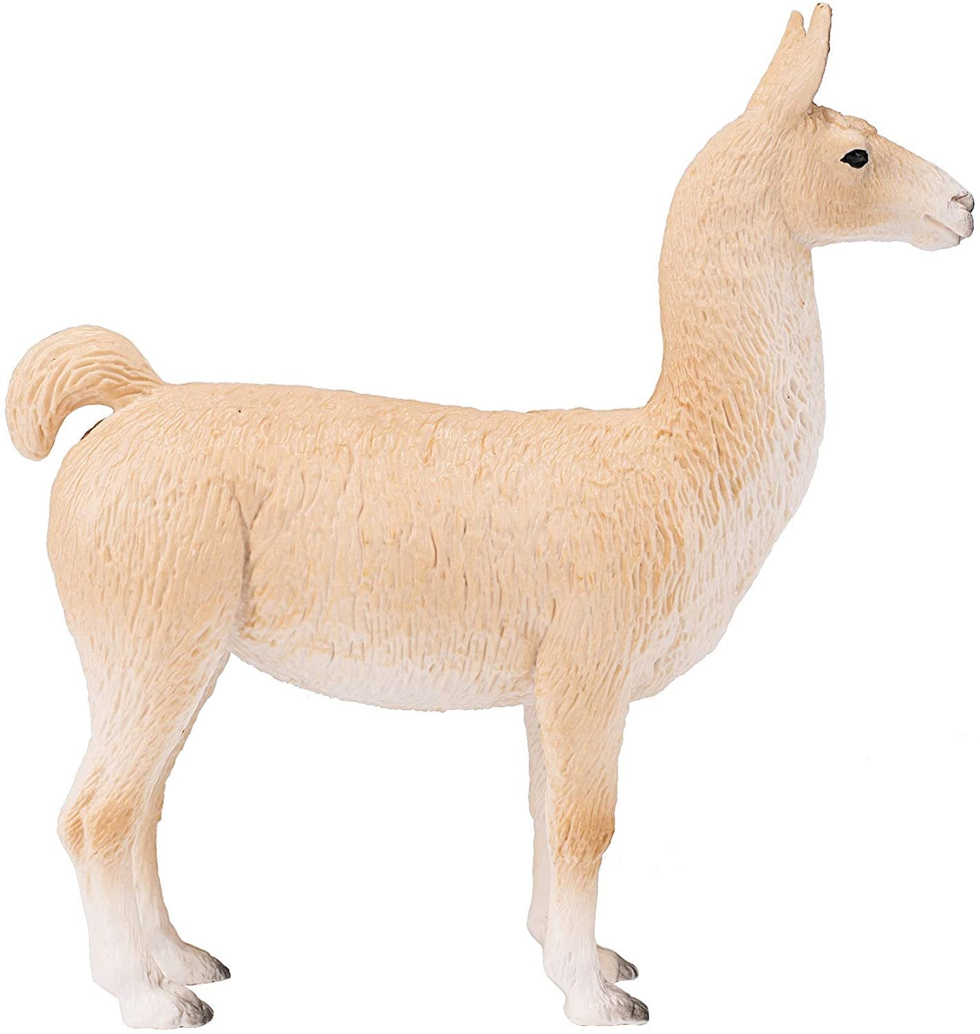 Llama