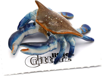 Little Critterz "Calli" Blue Crab