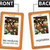 Spanish in a Flash Flash Card Set