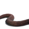 Safari Ltd. Cobra