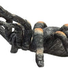 MOJO Red Kneed Tarantula