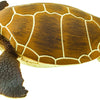 Safari Ltd. Green Sea Turtle