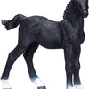 Mojo Hanoverian Black Colt