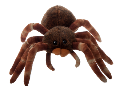 The Petting Zoo - 12" (26cm) Wild Onez Tarantula