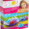 STEAM Powered Kids Crystal Garden