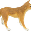 Safari Ltd. Dingo