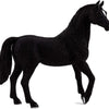 Mojo Black Arabian Stallion