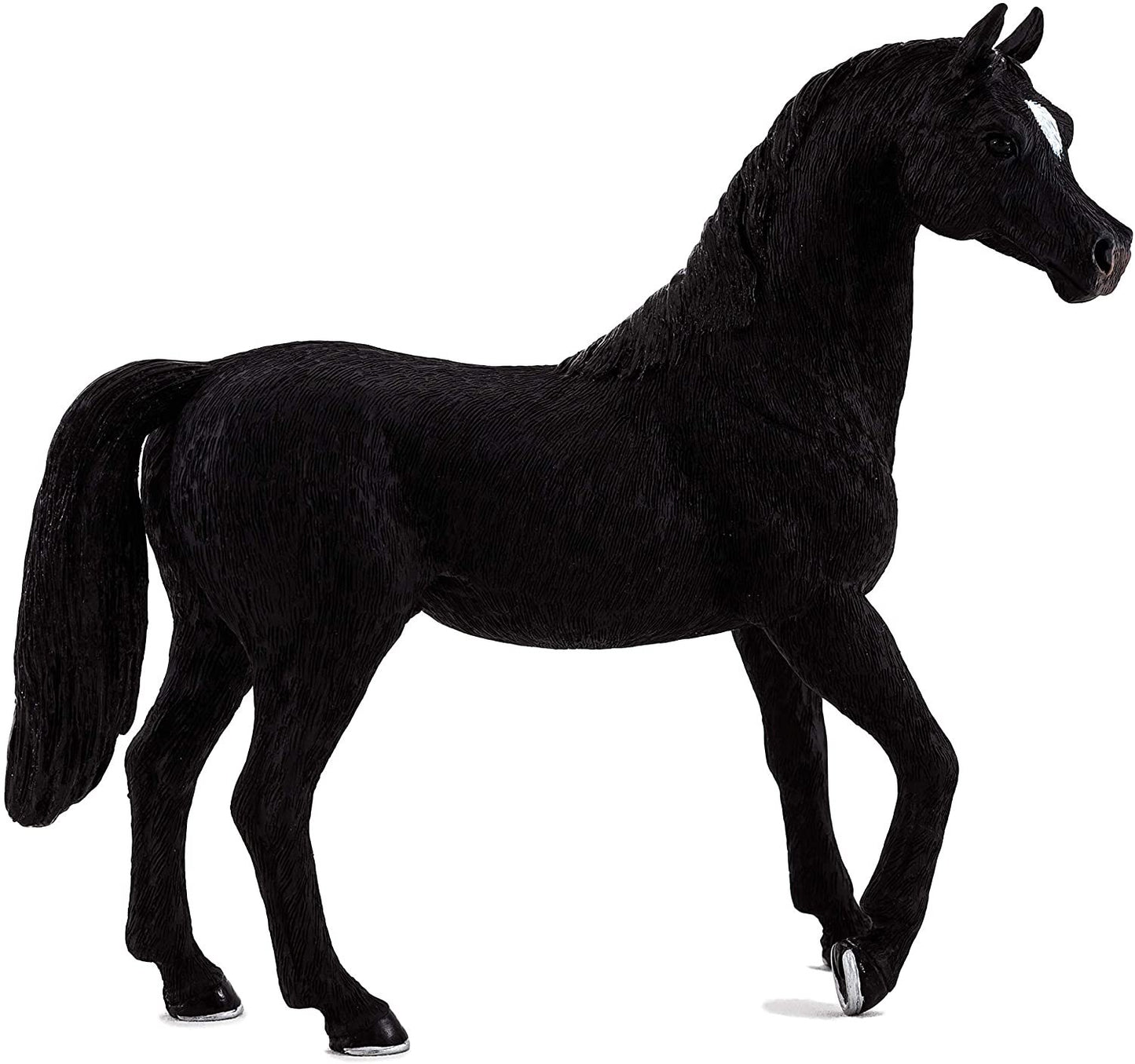 Mojo Black Arabian Stallion