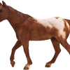 MOJO Chestnut Appaloosa Stallion