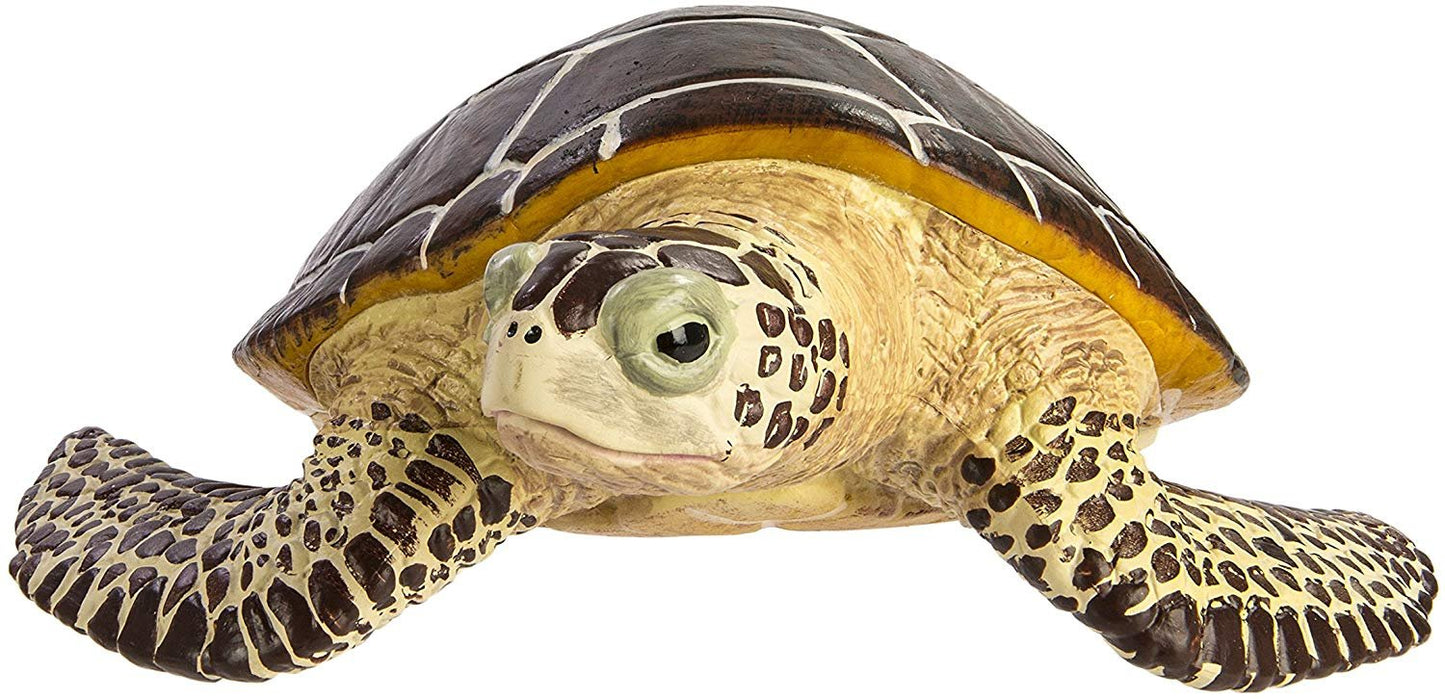 Safari Sea Turtle