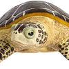 Safari Sea Turtle