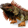 Real Planet 34" Iguana Plush Toy Brown