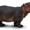 Safari Ltd Wildlife Wonders Hippo