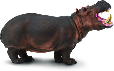Safari Ltd Wildlife Wonders Hippo